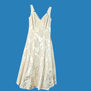 A.B.S BY ALLEN SCHWARTZ GOWN OFF WHITE SZ 2